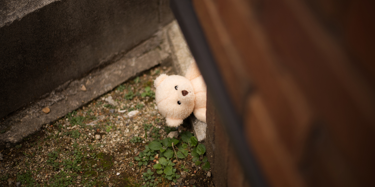a teddy bear peers up at the camera from the ground