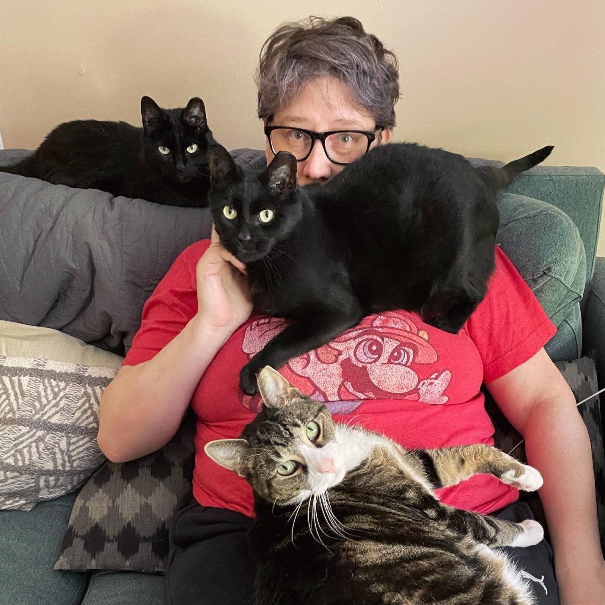 Heather a soft butch woman with gray hair is sitting on a couch. There are no fewer than three cats in the picture. There are two black cats. One on the couch behind her, one on her chest. And then there is a grey and white and black tabby cat on her lap. This is very cute.