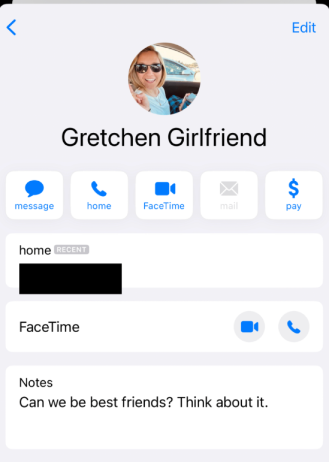 Gretchen Girlfriend contact info saved in my phone. Under notes it says "can we be best friends? Think about it."