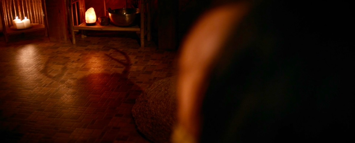 the shadow of the Antler Queen