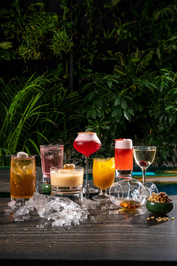 a gorgeous array of alcoholic beverages in various types of glassware, nuts, ice, and lush greenery in the background