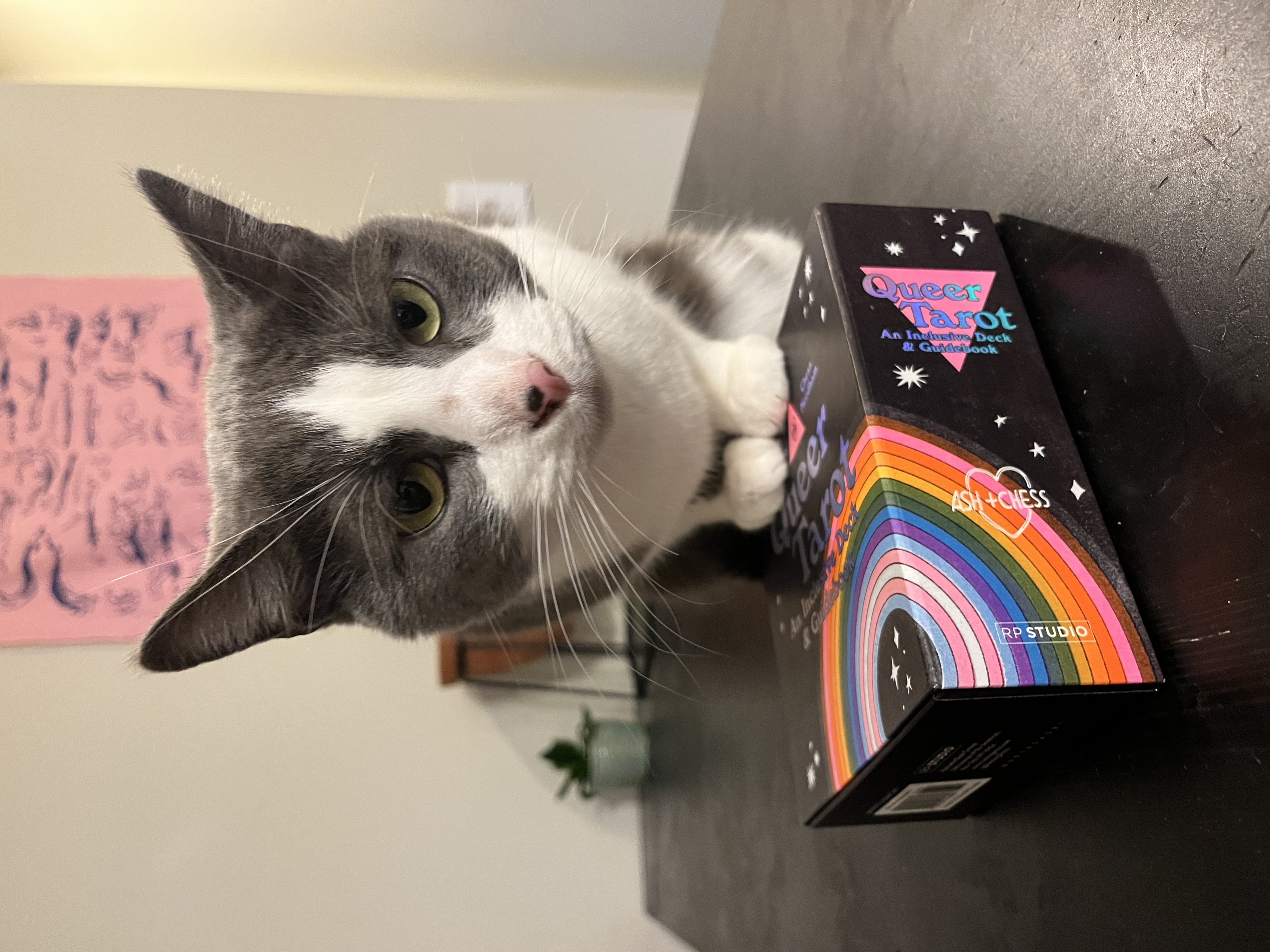 Profile picture of Katie