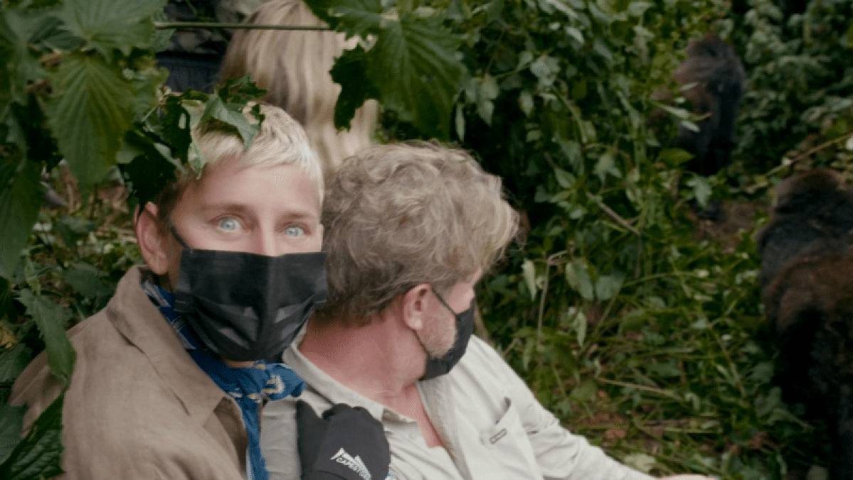 Ellen wearing a mask looks at the camera while near the gorillas. Her eyes are very wide.