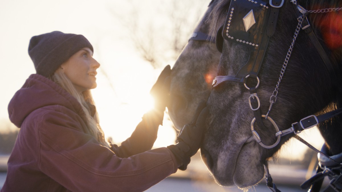A Holiday I Do: Lindsay Hicks in a sweatshirt and a beanie pets the noses of two horses as the sun rises.