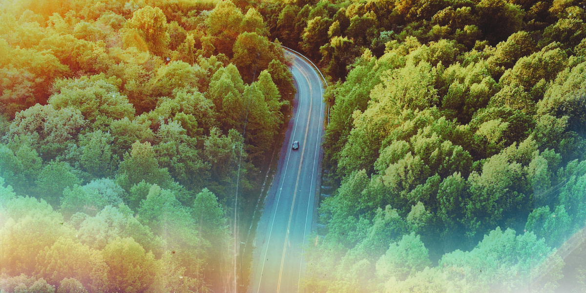 a photo of a road within a forest, taken from an aerial view. a single car drives along the road. the photo is fading into a rainbow effect, as though overexposed