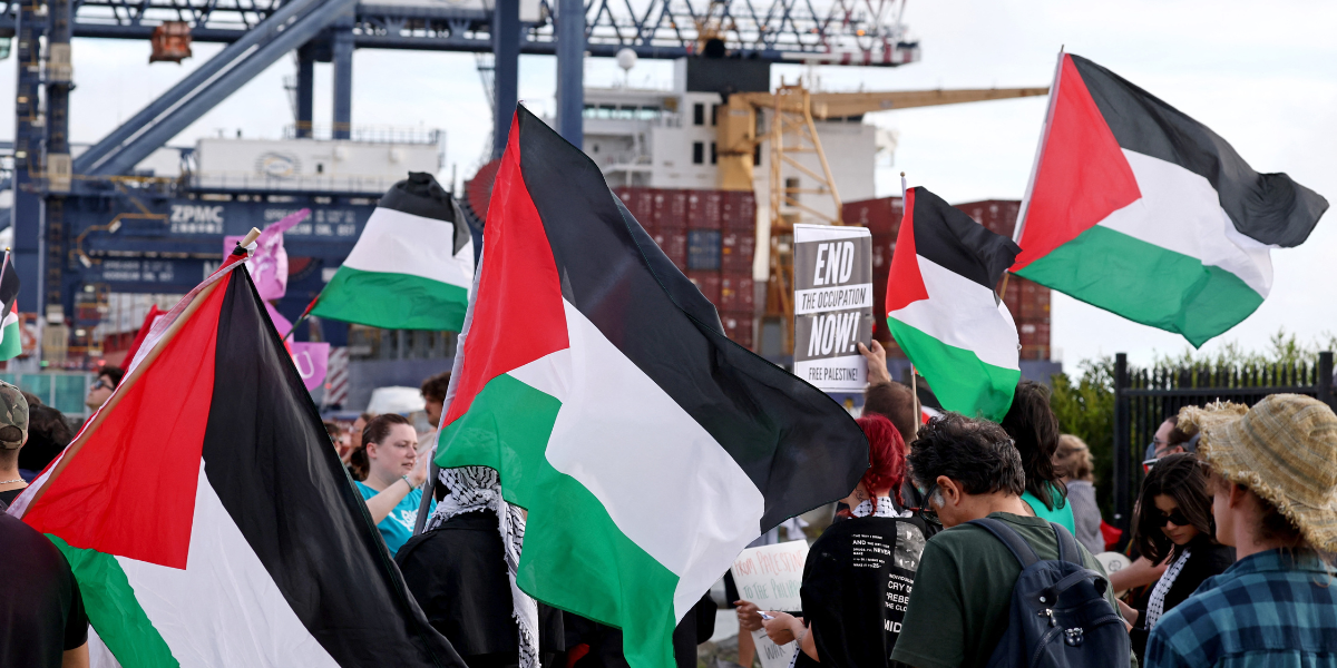 a group of pro-Palestine marchers in Australia hold the Palestinian flag