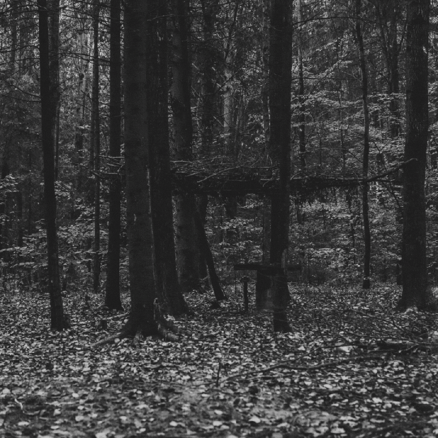 a GIF with a black and white photo of the forest with a person in a long dress in purples appearing and then pink lightning appearing above them