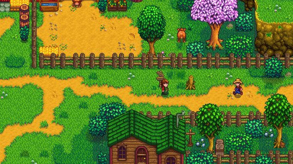 Stardew Valley field