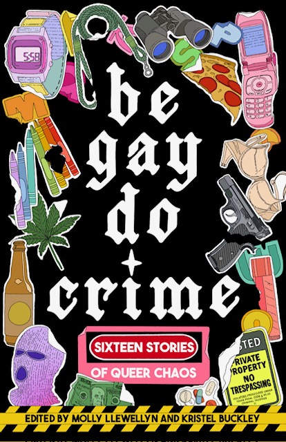 Be Gay Do Crime cover