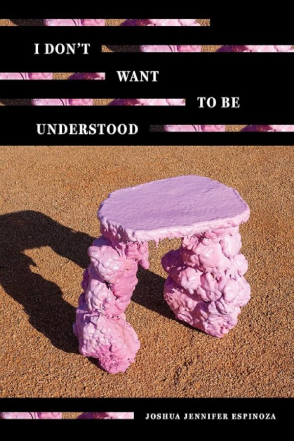 I Don’t Want to Be Understood by Joshua Jennifer Espinoza