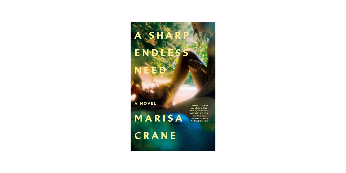 A Sharp Endless Need by Mac Crane