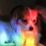 Profile picture of Amy