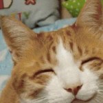 Profile picture of sechille
