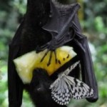 Profile picture of sid