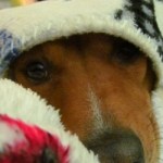 Profile picture of Static