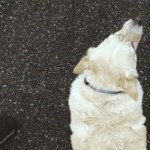 Profile picture of Madeleine