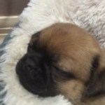 Profile picture of Aaron