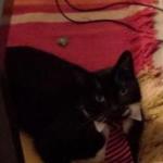 Profile picture of emptyspiral19