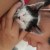 Profile picture of Skywita