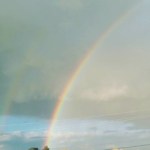 Profile picture of Raspberry Mousse