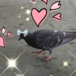 Profile picture of Kayla