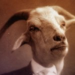 Profile picture of Sam