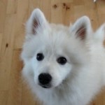 Profile picture of CH