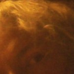 Profile picture of Erika