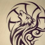 Profile picture of K