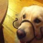 Profile picture of Izzy