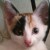 Profile picture of Divina