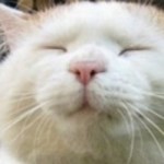 Profile picture of OceanSoul