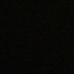 Profile picture of Stella