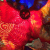 Profile picture of Lex