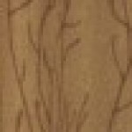 Profile picture of Mariah