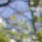 Profile picture of Karine