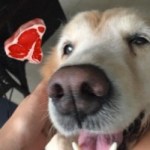 Profile picture of EL