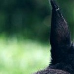 Profile picture of Samantha