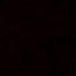 Profile picture of Lottie