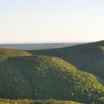 Profile picture of Dal