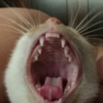 Profile picture of Emily