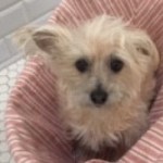 Profile picture of Coral Charm