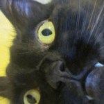 Profile picture of Zuzu