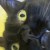 Profile picture of Zuzu