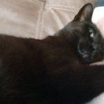 Profile picture of Jo