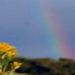 Profile picture of Aleks